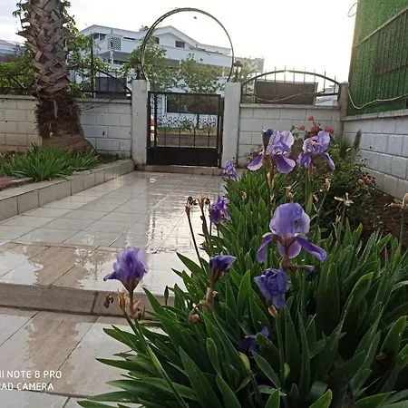 Apartament Ancient Park 2 *